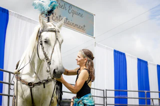 Brookfield fairgrounds